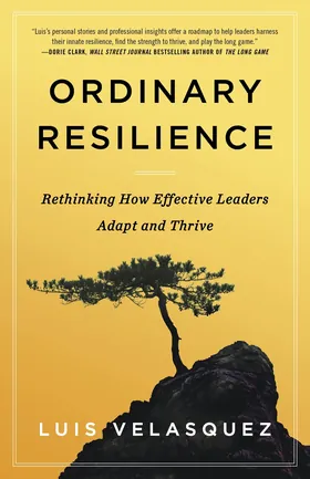 Cover of Ordinary Resilience by Luis Velasquez